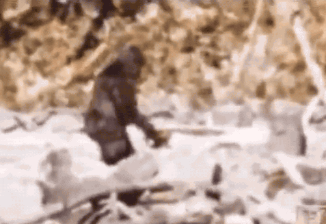Bigfoot Sasquatch GIF by MOODMAN - Find & Share on GIPHY