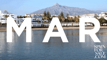 Marbella GIF by Spain For Sale