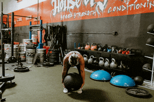 Beast Chickz GIF