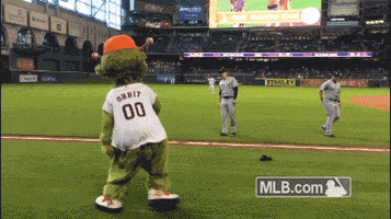 houston astros baseball GIF by MLB