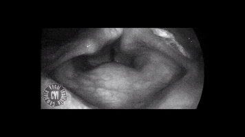 cvi completevocalinstitute completevocaltechnique GIF