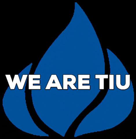 TIU Florida GIF