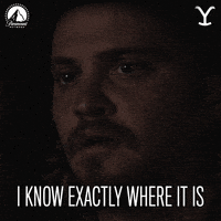 I Know Exactly GIF by Yellowstone