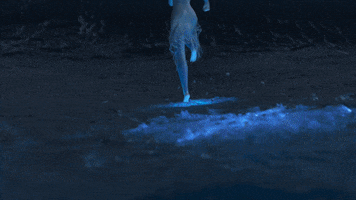 Into The Unknown Running GIF by Disney Princess