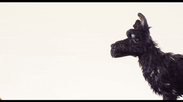 Mad Isle Of Dogs GIF by Searchlight Pictures