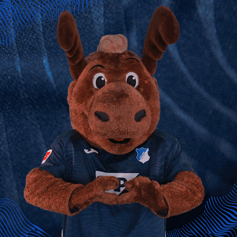 Sport Bundesliga GIF by TSG Hoffenheim