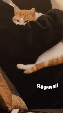 Staring I See You GIF by STAGEWOLF