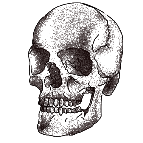 Black And White Skull Sticker
