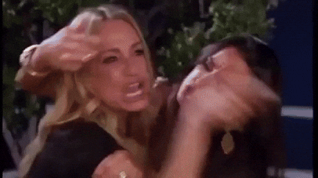  cat meme no no you dont woman yelling at cat GIF