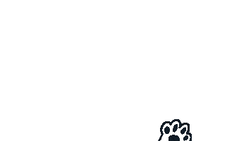 Cat Kitty Sticker