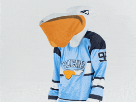 PelicansFi sports no hockey mascot GIF