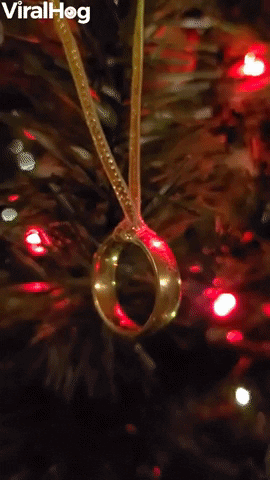 One Tree To Rule Them All GIF by ViralHog