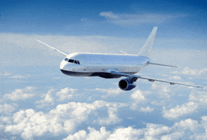 Travel GIF
