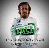 Fernando Alonso F1 GIF