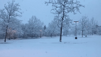 Snow Falls in Blacksburg, Virginia, as Winter Storm Hits Northeast