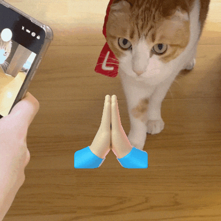 Cat GIF