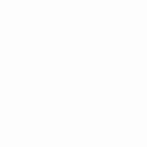 Viviendea GIF