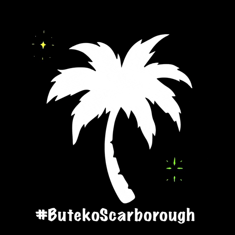 ButekoScarborough GIF