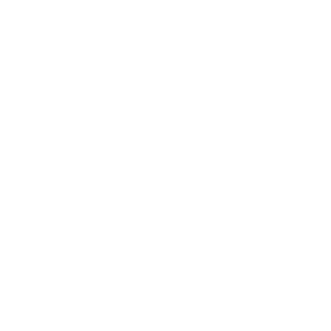 RiteChoice Dog Agility Sticker