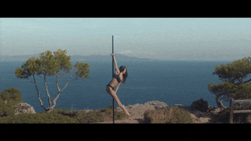 athletic pole dancer GIF by Clean Bandit