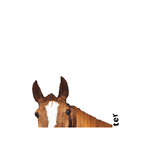 Doda Training Center Sticker