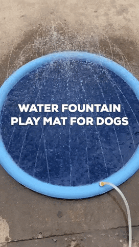 Dog GIF