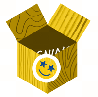 Stars Box GIF by ErasmusPlus DAAD