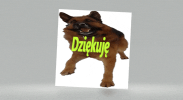Dog GIF