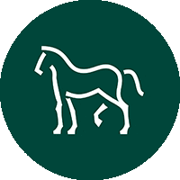 Lipica Sticker