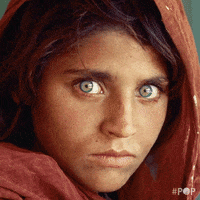 War Afghanistan GIF by GoPop