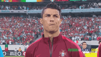 Soccer Portugal GIF by Fusion