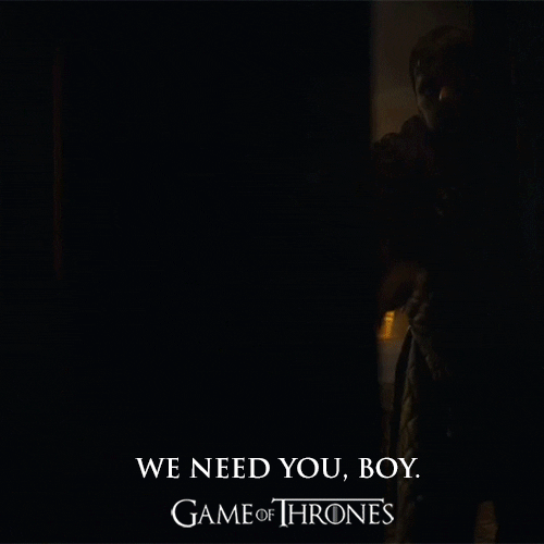 The Watchers On The Wall Ghost GIF by Game of Thrones