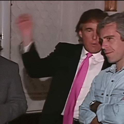 Donald Trump GIF