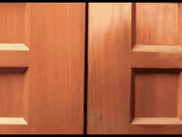 Thatoneparth GIF