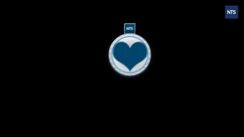NTS Netzwerk Telekom Services AG GIF