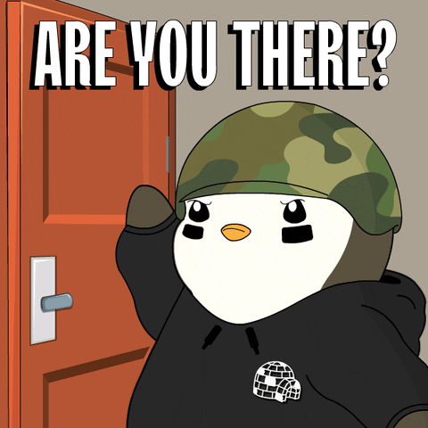 Knock Knock Hello GIF by Pudgy Penguins