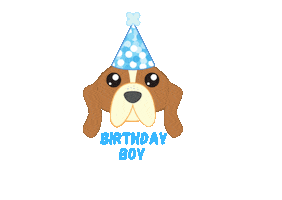 Birthday Boy Sticker by Pet Pipers