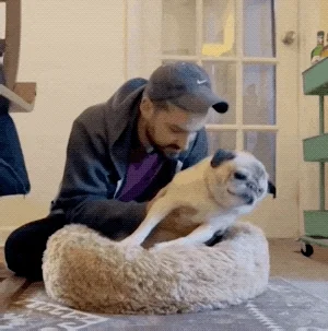 Redes sociales en las que debes estar en 2025 1 giphy.webp?cid=ecf05e479g7y2gqr2luiosgdi8034n7jfhy4sik3b7jqk176&ep=v1 gifs search&rid=giphy