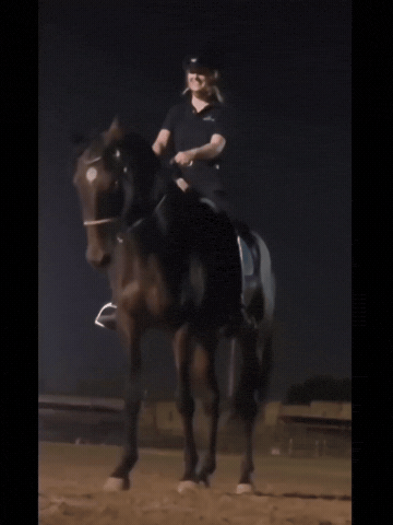 Horse Dressage GIF