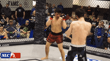 Excited Lets Go GIF by New Line Cagefighting