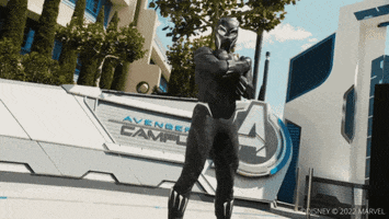 Black Panther Marvel GIF by Disneyland Paris