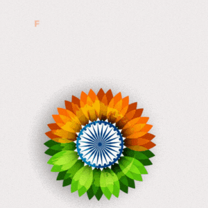 Indian Independence Day GIF by FirstCry Parenting