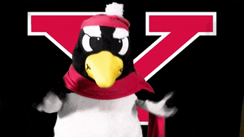 horizonleague youngstown state youngstown state mascot 2 GIF