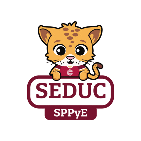 seduc campeche Sticker