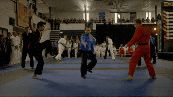 Kobra Kai GIFs  Find & Share on GIPHY