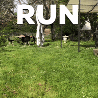 200.gif