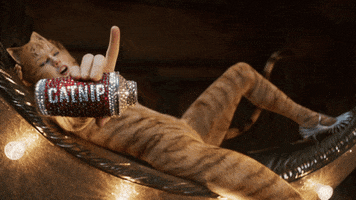 Taylor Swift Hello GIF by Cats Movie