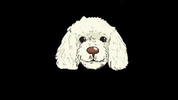 Doggy GIF by universoanimalmx