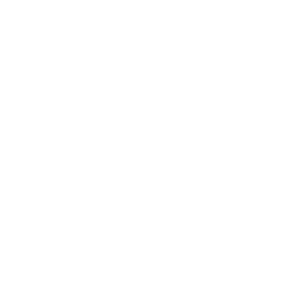 Riga TechGirls Sticker