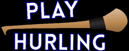 Sport Irish GIF by Play Hurling